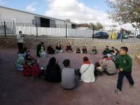 Patios activos y actividades familiares