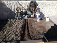 Proyecto Huertos Escolares